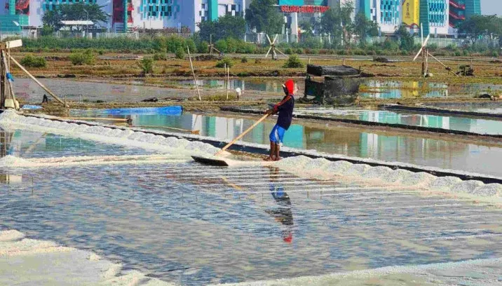 Petambak garam sedang bekerja di ladang garam yang berada sekitar Gelora Bung Tomo (GBT) kawasan Benowo, Pakal, Surabaya.